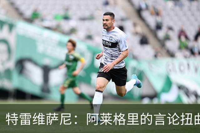 特雷维萨尼：阿莱格里的言论扭曲现实，拿罗马当借口没道理