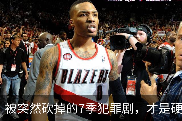 被突然砍掉的7季犯罪剧，才是硬汉剧该有的样子