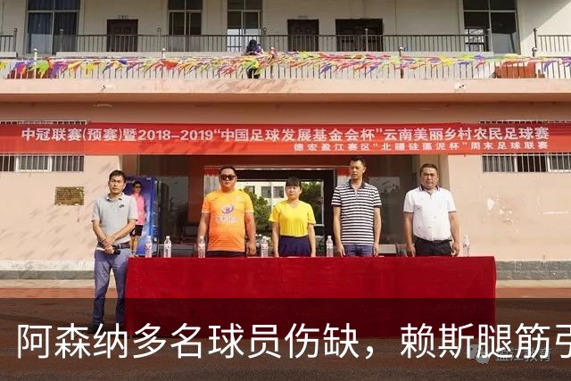 阿森纳多名球员伤缺，赖斯腿筋引担忧，有意追逐布莱顿锋线小将