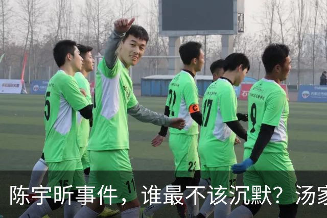 陈宇昕事件，谁最不该沉默？汤家凤博士一语戳中软肋