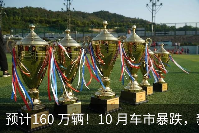 预计160 万辆！10 月车市暴跌，新能源独自托底